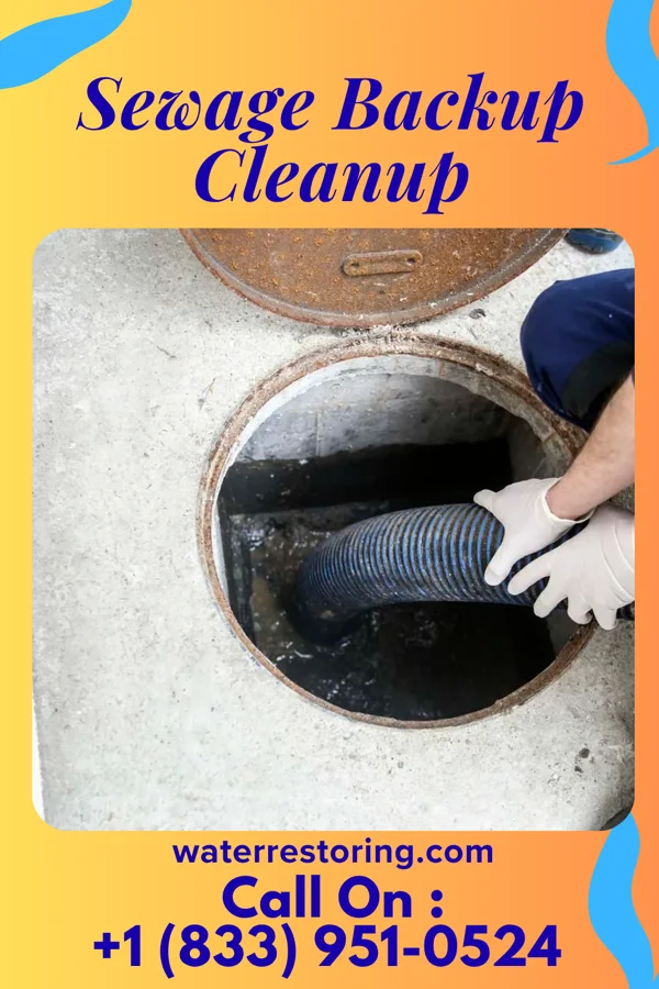 Sewage Backup Cleanup in Cottonwood Shores, TX
